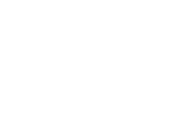 bouchonslyonnais